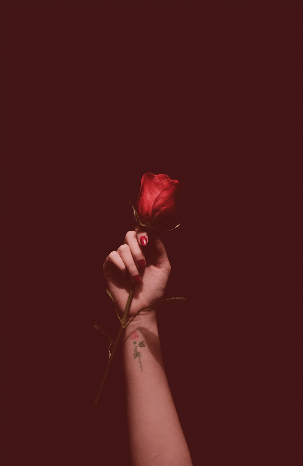 Numerology Chart Background_Rose in hand